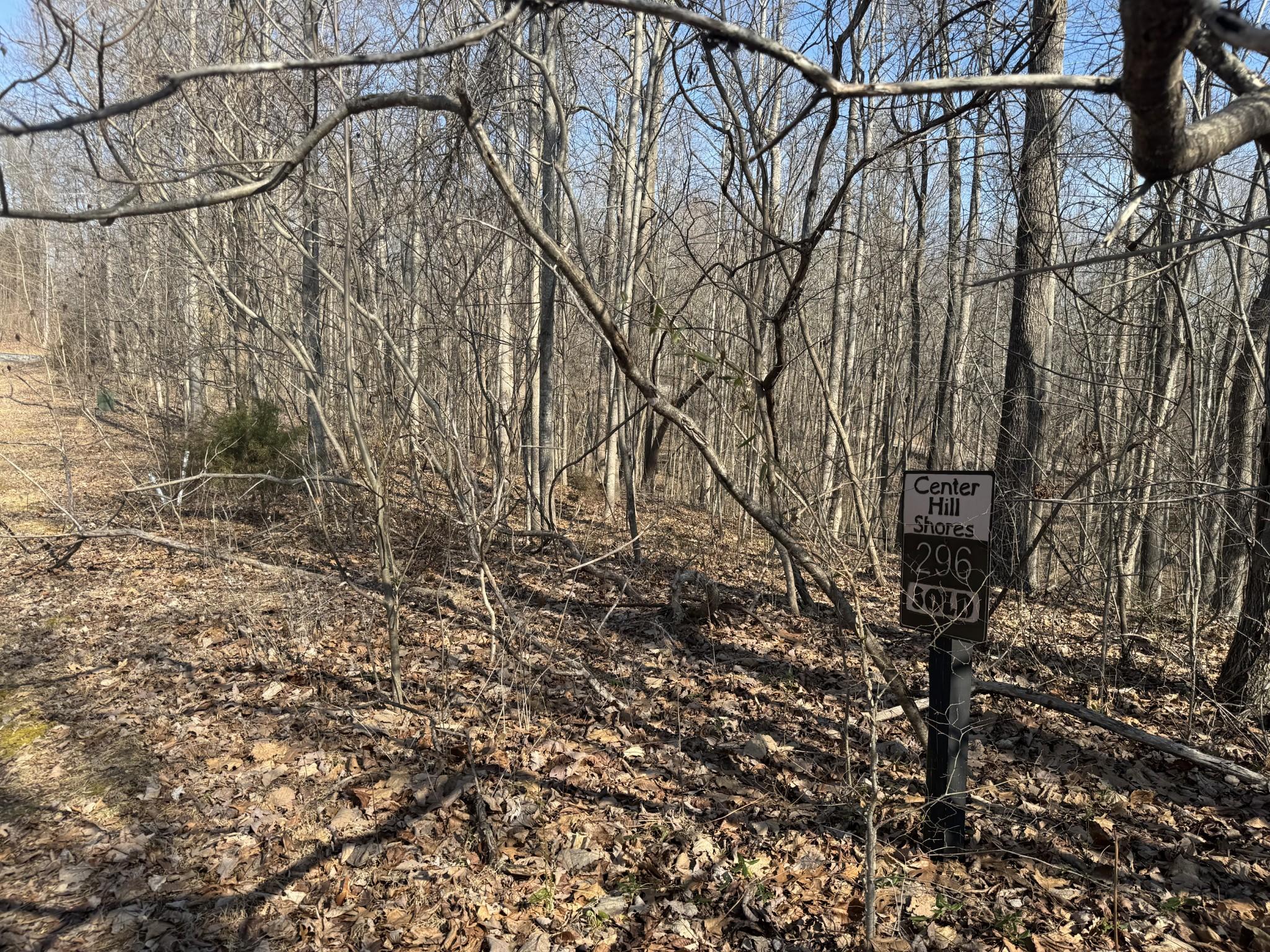 Image 4 Image 4
