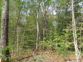 0 Craighead Rd