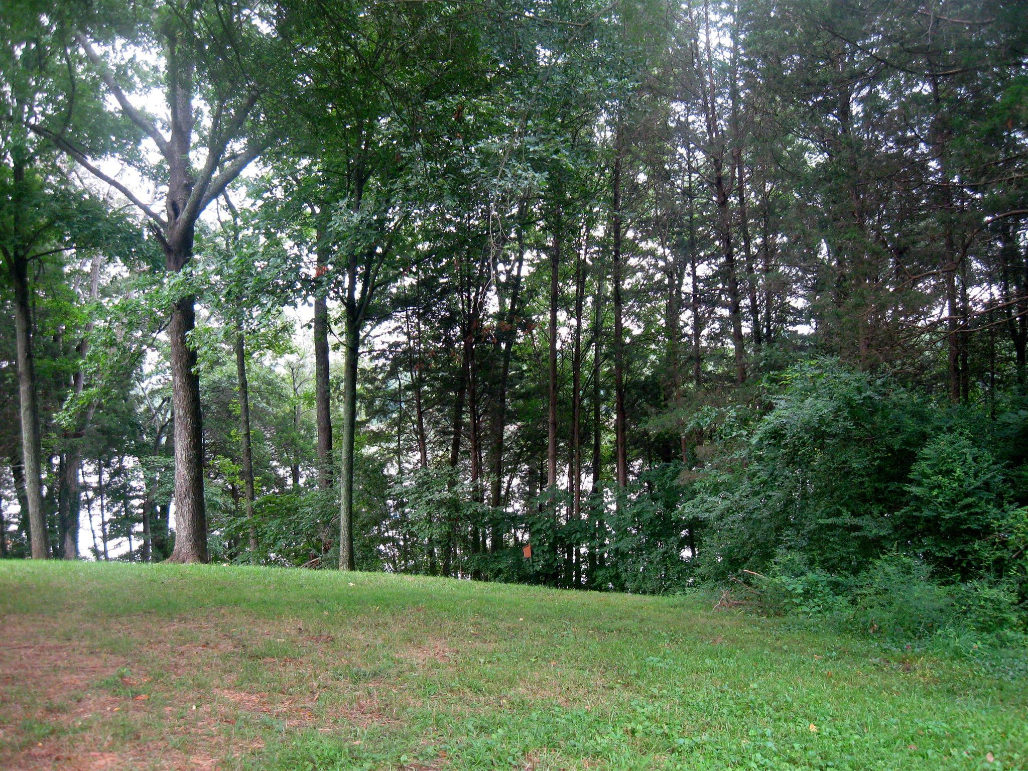 2 Flower Point Dr, Estill Springs, TN lhrmls00248594