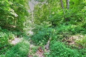 Lot 79 Scott Canyon Rd.