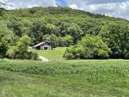 0 Mitchell Hollow Rd