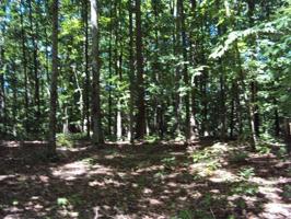 32 Poplar Point Rd