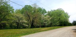 Lot 10 Snow Tree Bnd