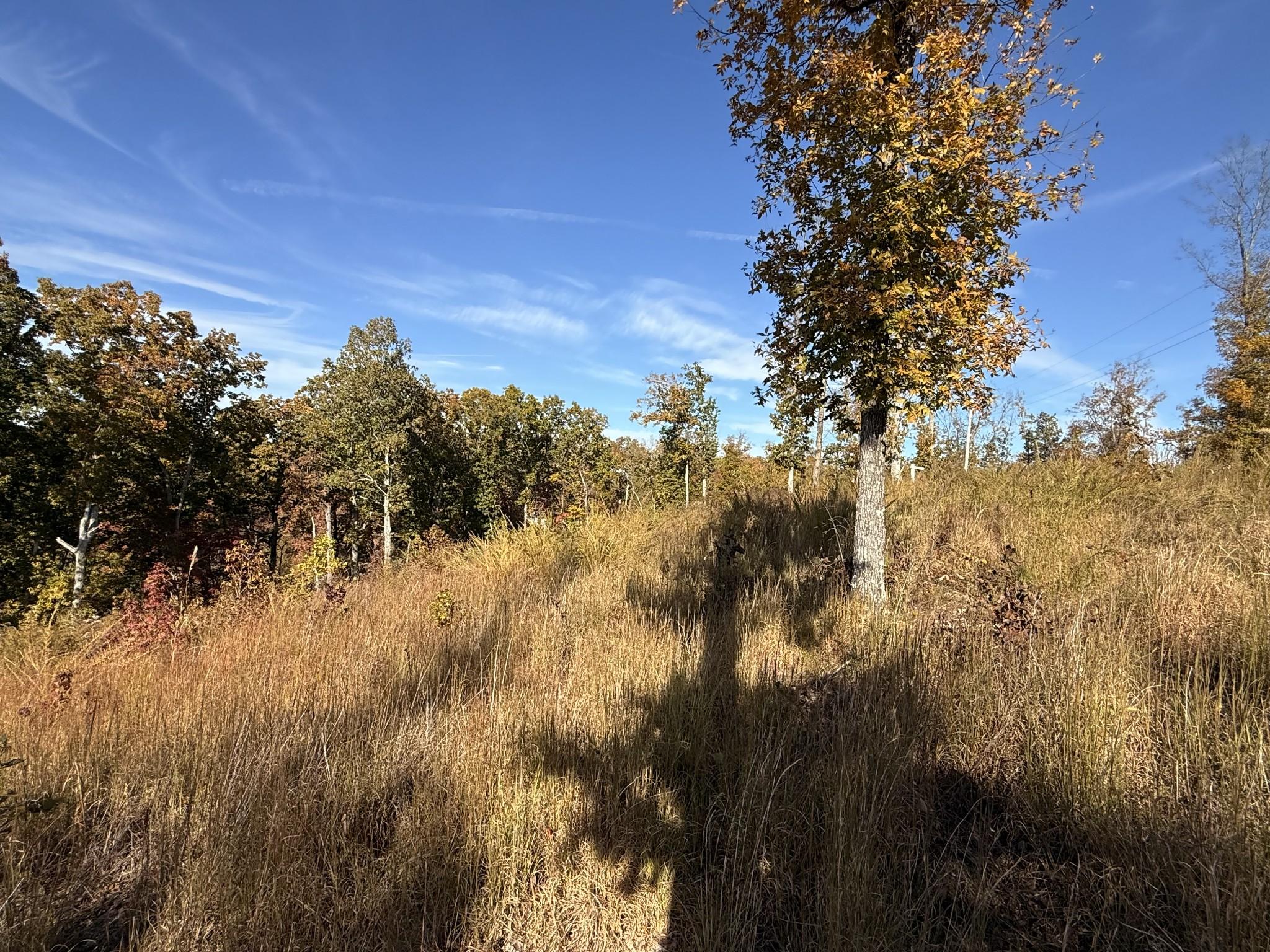Image 4 Image 4
