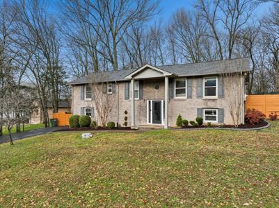 590 Weeping Elm Rd