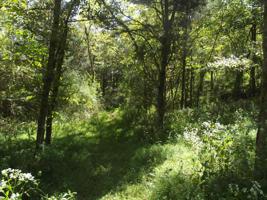 0 Camp Discovery Ln