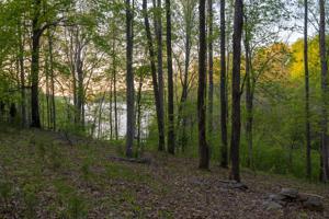 Lot 57/58 HOPKINS LANE