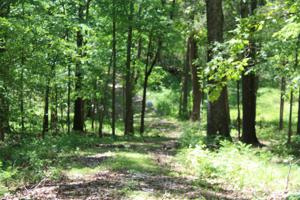 1 Grices Creek Road