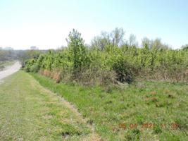 Lot 62 Bell Memorial Dr