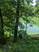 Lot 80 Ravine Dr