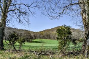 1950 Smith Bend Ln