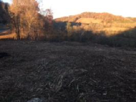 8 Ac. Hwy 53 North