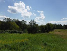 5 .50 Ac. Ford Road
