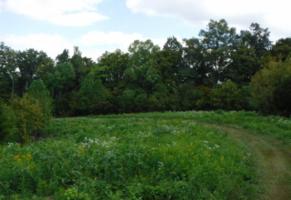 16 .40 Ac. Ford Road