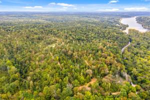3262 Highway 49 