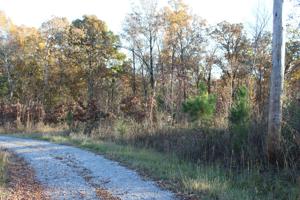 Lot 1 Winding Way Rd