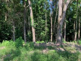 Lot 7 Damron Road Lot 7