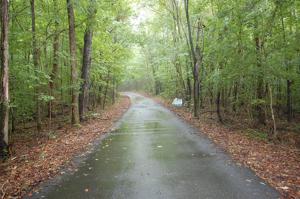 Lot 11.53A Reynolds Hollow Rd