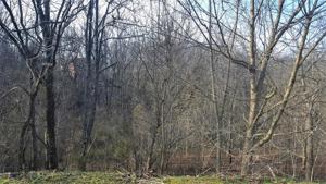 Lot 300 Highbridge DR