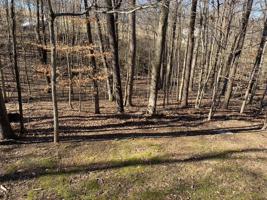 Lot 3 Hickory Point Dr