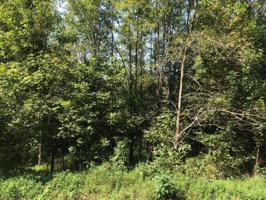 164 Lake Court Dr