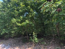 318 Woodcrest Dr