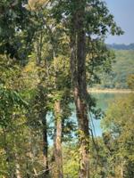 132 Lakeview Dr