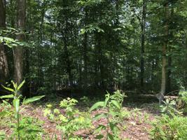 0 Saline Trail