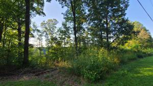 Lot 365 Coconut Ridge Rd