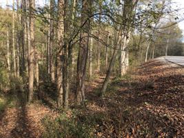 Lot 82 Baymont Dr