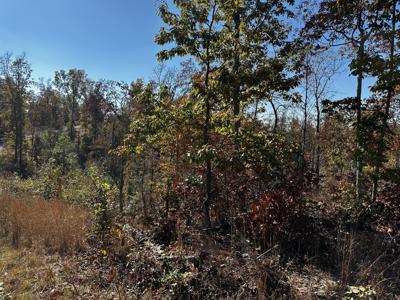 49 Ridge Top Road
