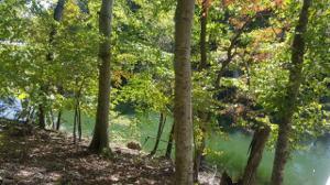 Lot 6 Rivermont Rd