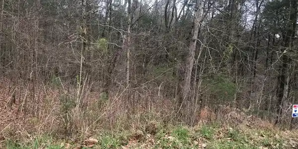 00 Lake Front Dr