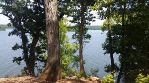 Lot 20 Pride Estates Rd