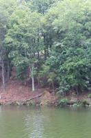LOT 4 Randmar Ct