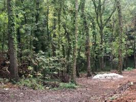 0 Lime Kiln Hollow Rd