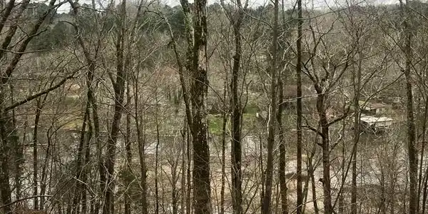 20 CREEKVIEW DR