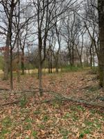 179 Reynolds Dr