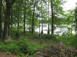 0 Bear Creek Dr