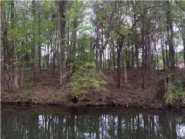 525 Acton Dr