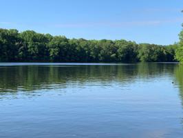 LOT 7 Freeman Dr