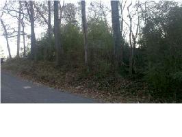 00 Shoals Blvd