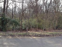 002 Beardsley Ct