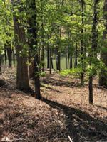 0 Ridgecliff Dr
