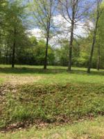 Lot # 3 Poplar Springs Dr