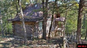 1681 BLUE WING ROAD