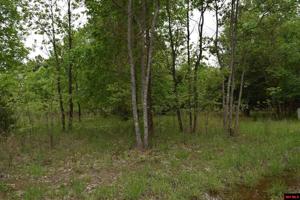 Lot 33 BELLE COVE ROAD