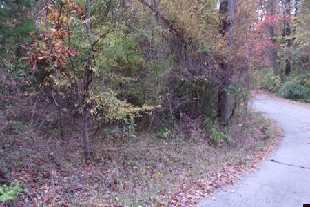 002-04257-504 FLINT DRIVE