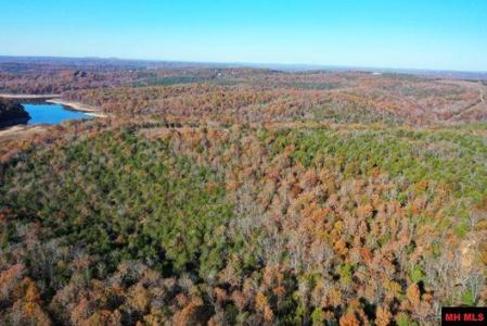 001-00776-000 CHAPPIE LANE