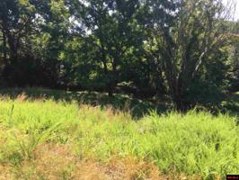 Lot 22 CR 385